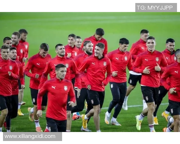 挪威与北爱尔兰足球对决分析及历史交锋回顾